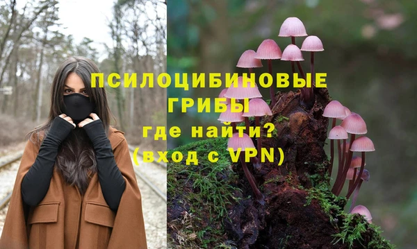 ALPHA-PVP Болхов